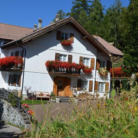 Villa Gioia Levico Terme Zewnętrze zdjęcie
